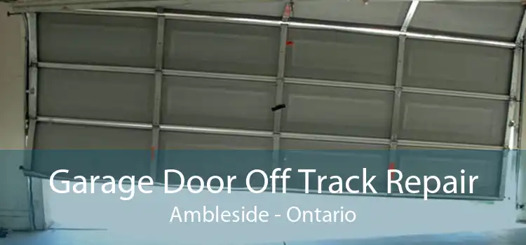 Garage Door Off Track Repair Ambleside - Ontario