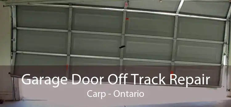 Garage Door Off Track Repair Carp - Ontario