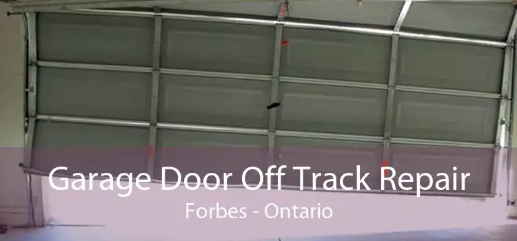 Garage Door Off Track Repair Forbes - Ontario