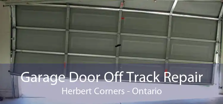 Garage Door Off Track Repair Herbert Corners - Ontario