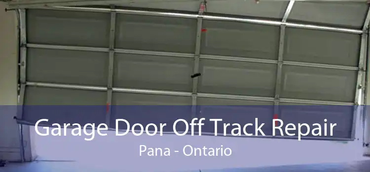 Garage Door Off Track Repair Pana - Ontario