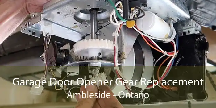 Garage Door Opener Gear Replacement Ambleside - Ontario