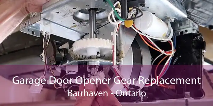Garage Door Opener Gear Replacement Barrhaven - Ontario