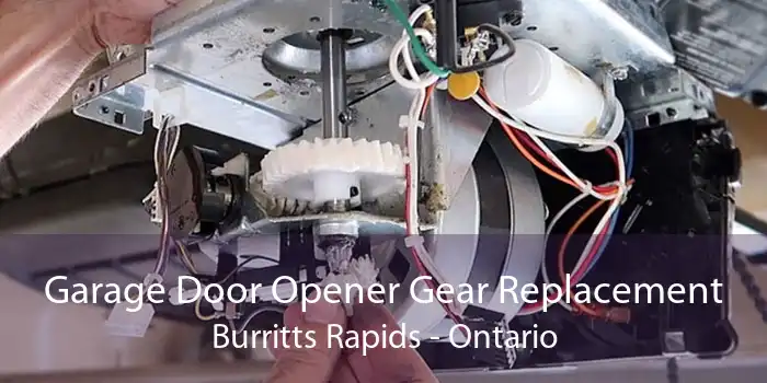 Garage Door Opener Gear Replacement Burritts Rapids - Ontario
