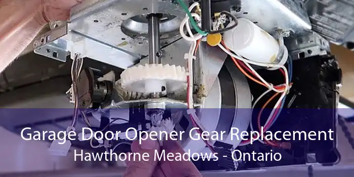 Garage Door Opener Gear Replacement Hawthorne Meadows - Ontario