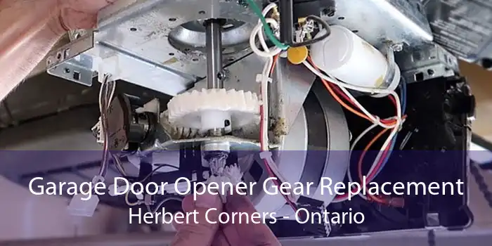 Garage Door Opener Gear Replacement Herbert Corners - Ontario