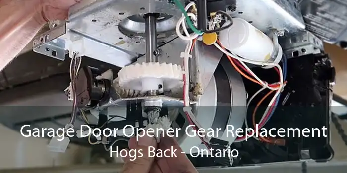 Garage Door Opener Gear Replacement Hogs Back - Ontario