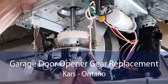 Garage Door Opener Gear Replacement Kars - Ontario