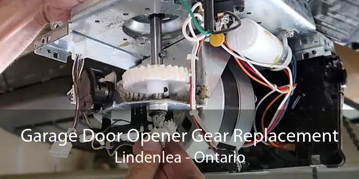 Garage Door Opener Gear Replacement Lindenlea - Ontario