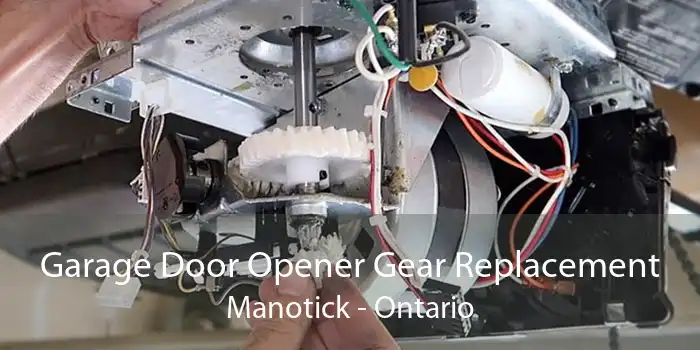 Garage Door Opener Gear Replacement Manotick - Ontario