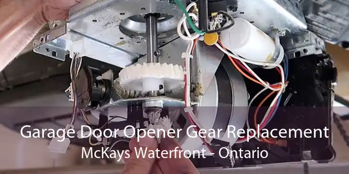 Garage Door Opener Gear Replacement McKays Waterfront - Ontario