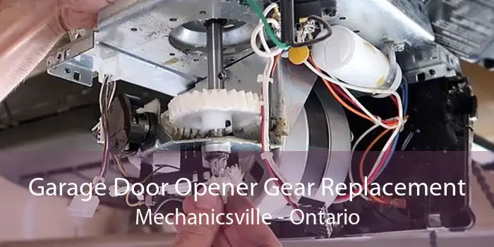 Garage Door Opener Gear Replacement Mechanicsville - Ontario