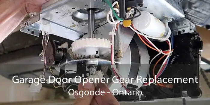 Garage Door Opener Gear Replacement Osgoode - Ontario