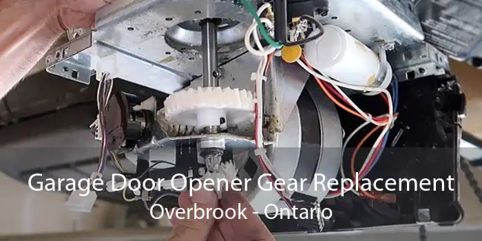 Garage Door Opener Gear Replacement Overbrook - Ontario