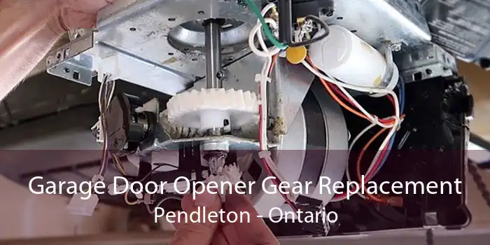 Garage Door Opener Gear Replacement Pendleton - Ontario