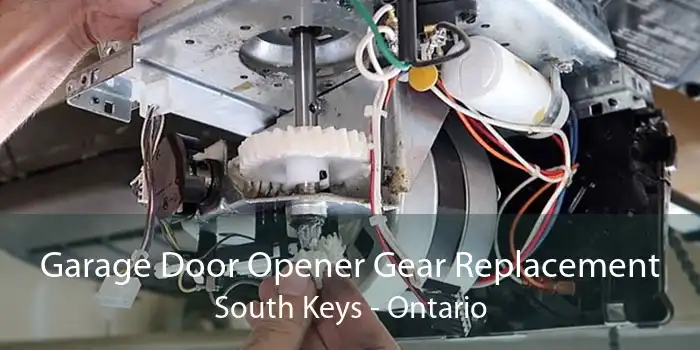 Garage Door Opener Gear Replacement South Keys - Ontario