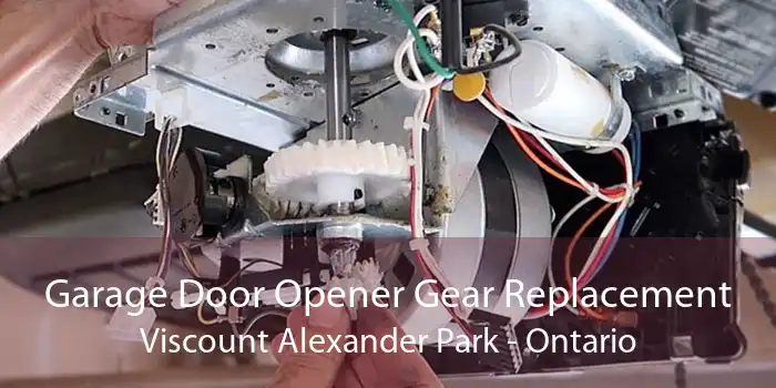 Garage Door Opener Gear Replacement Viscount Alexander Park - Ontario