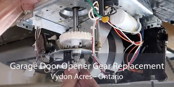 Garage Door Opener Gear Replacement Vydon Acres - Ontario