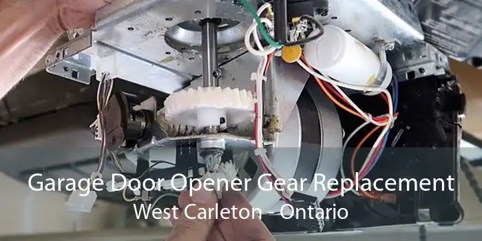 Garage Door Opener Gear Replacement West Carleton - Ontario