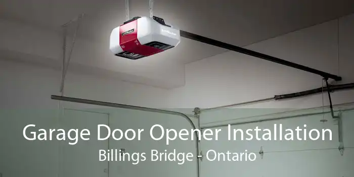 Garage Door Opener Installation Billings Bridge - Ontario