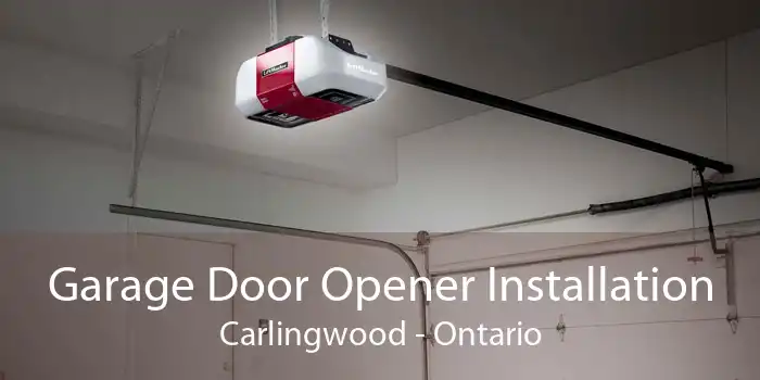 Garage Door Opener Installation Carlingwood - Ontario