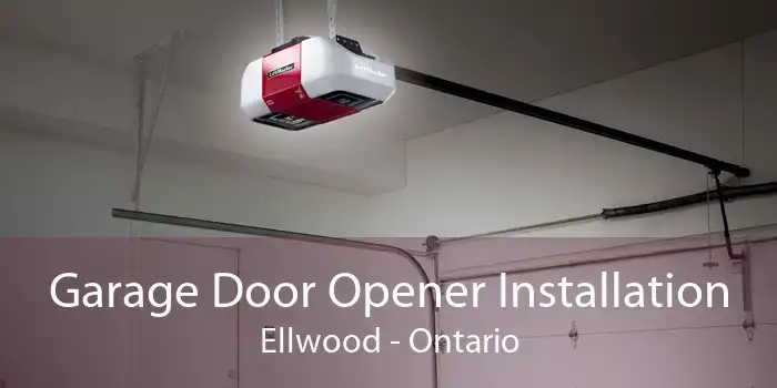 Garage Door Opener Installation Ellwood - Ontario