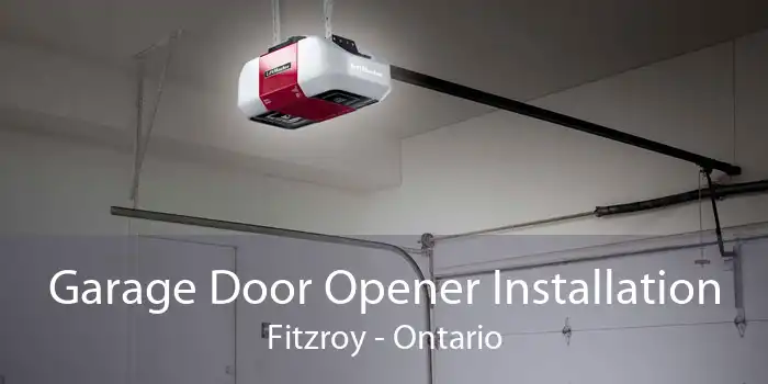 Garage Door Opener Installation Fitzroy - Ontario
