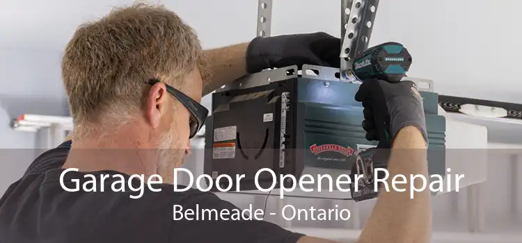 Garage Door Opener Repair Belmeade - Ontario