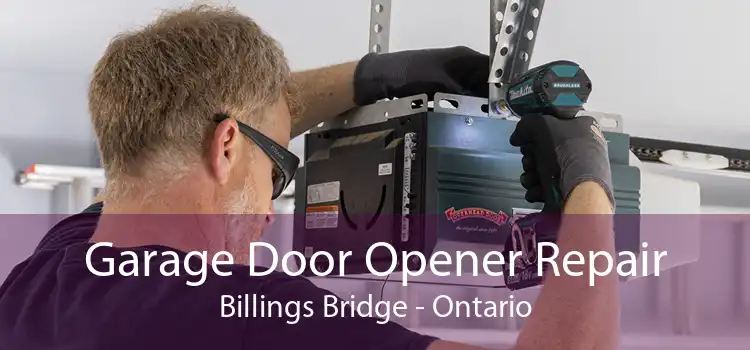 Garage Door Opener Repair Billings Bridge - Ontario