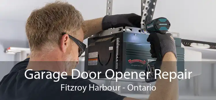 Garage Door Opener Repair Fitzroy Harbour - Ontario