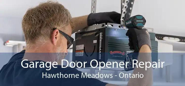 Garage Door Opener Repair Hawthorne Meadows - Ontario