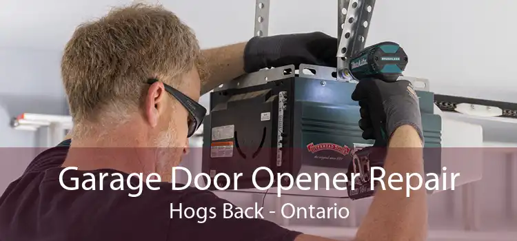 Garage Door Opener Repair Hogs Back - Ontario