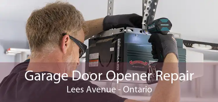 Garage Door Opener Repair Lees Avenue - Ontario