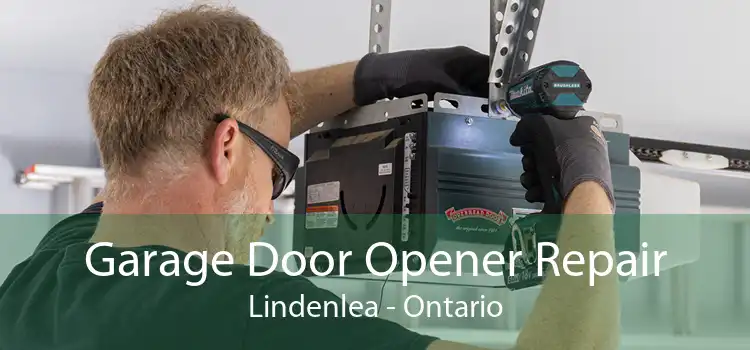 Garage Door Opener Repair Lindenlea - Ontario