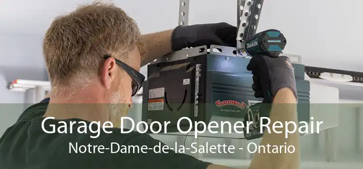 Garage Door Opener Repair Notre-Dame-de-la-Salette - Ontario