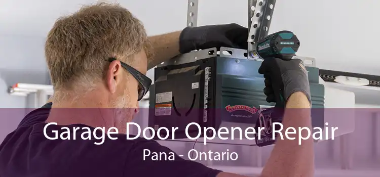 Garage Door Opener Repair Pana - Ontario