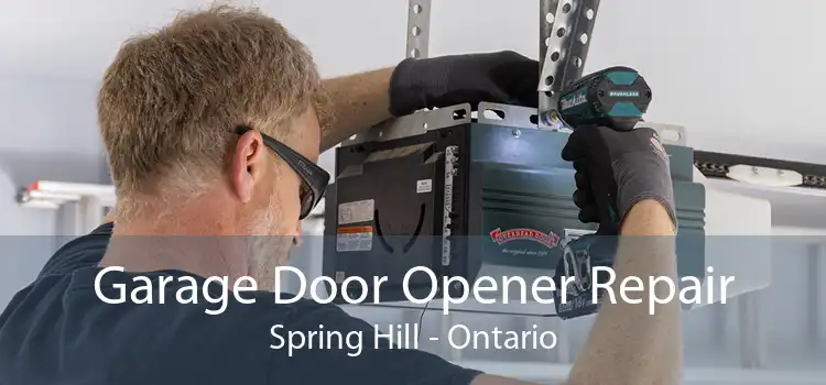 Garage Door Opener Repair Spring Hill - Ontario
