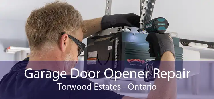Garage Door Opener Repair Torwood Estates - Ontario