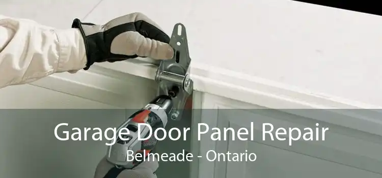 Garage Door Panel Repair Belmeade - Ontario