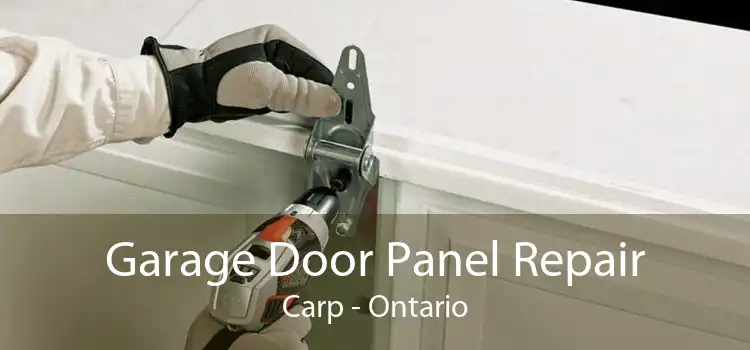 Garage Door Panel Repair Carp - Ontario