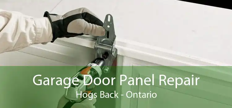 Garage Door Panel Repair Hogs Back - Ontario