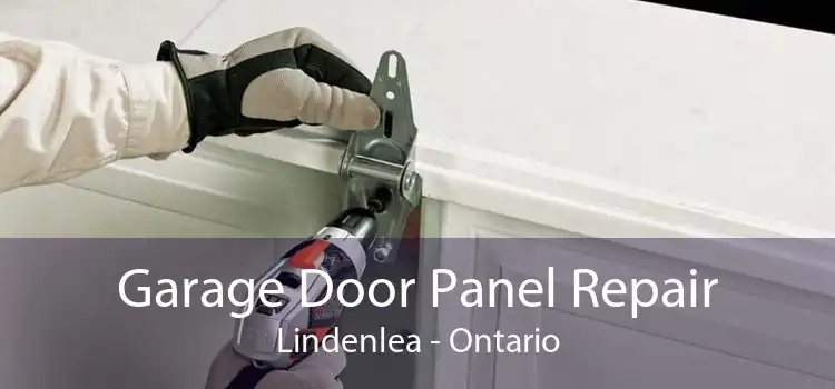 Garage Door Panel Repair Lindenlea - Ontario