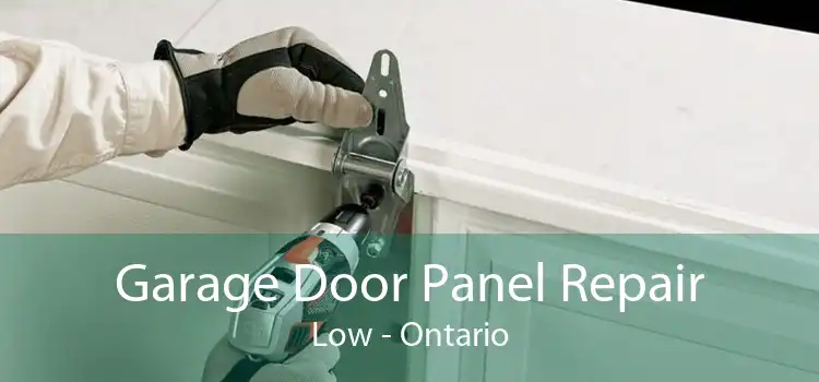 Garage Door Panel Repair Low - Ontario