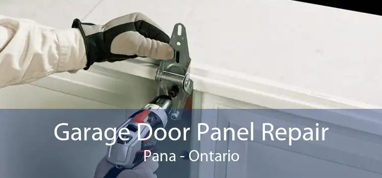 Garage Door Panel Repair Pana - Ontario