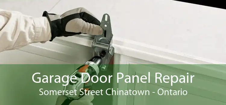 Garage Door Panel Repair Somerset Street Chinatown - Ontario