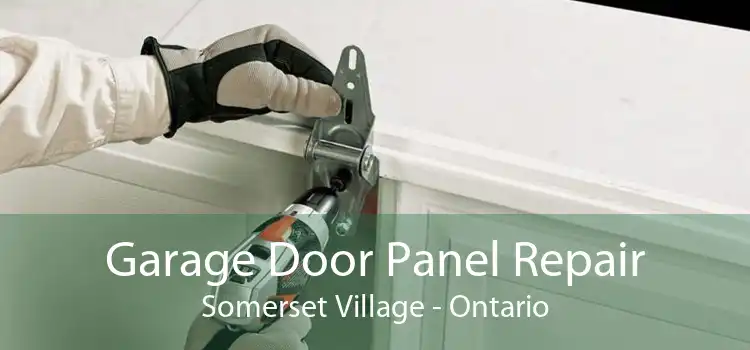 Garage Door Panel Repair Somerset Village - Ontario