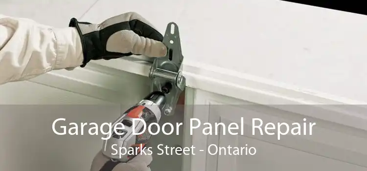 Garage Door Panel Repair Sparks Street - Ontario