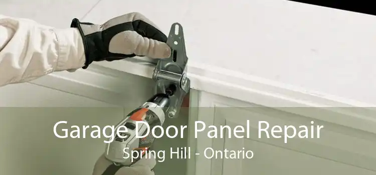 Garage Door Panel Repair Spring Hill - Ontario