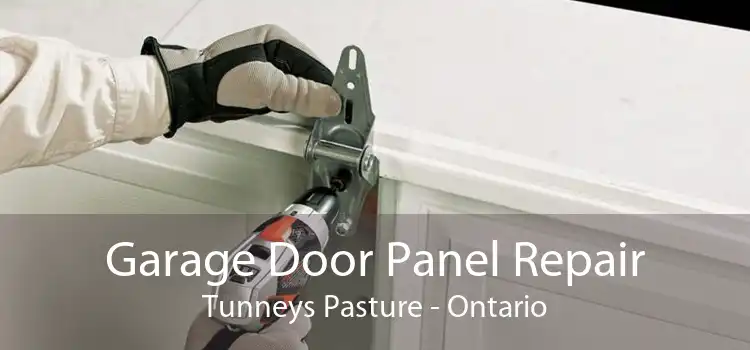 Garage Door Panel Repair Tunneys Pasture - Ontario