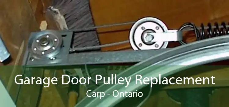 Garage Door Pulley Replacement Carp - Ontario